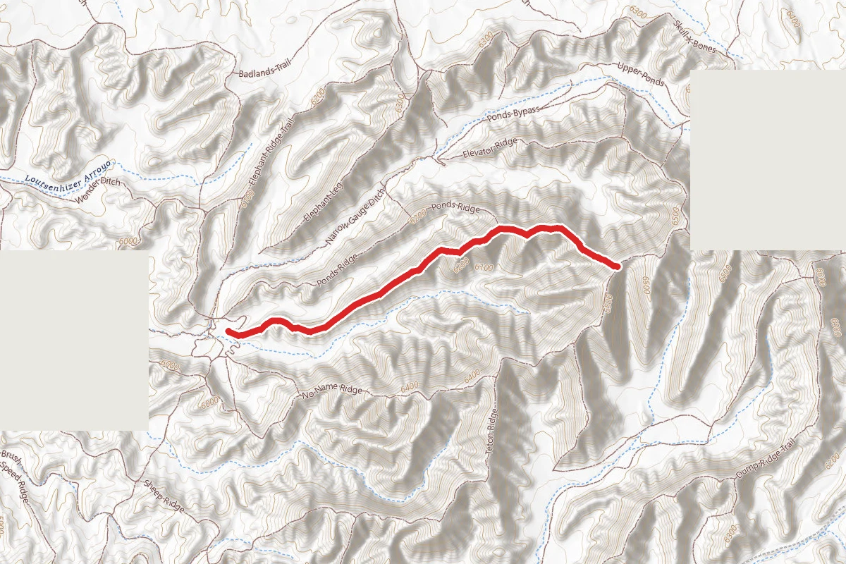 South Elephant Ridge Trail