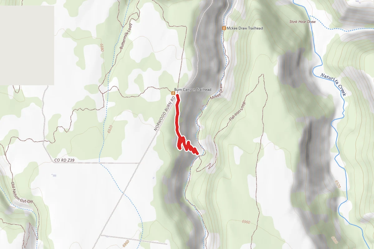 Redtail Trail