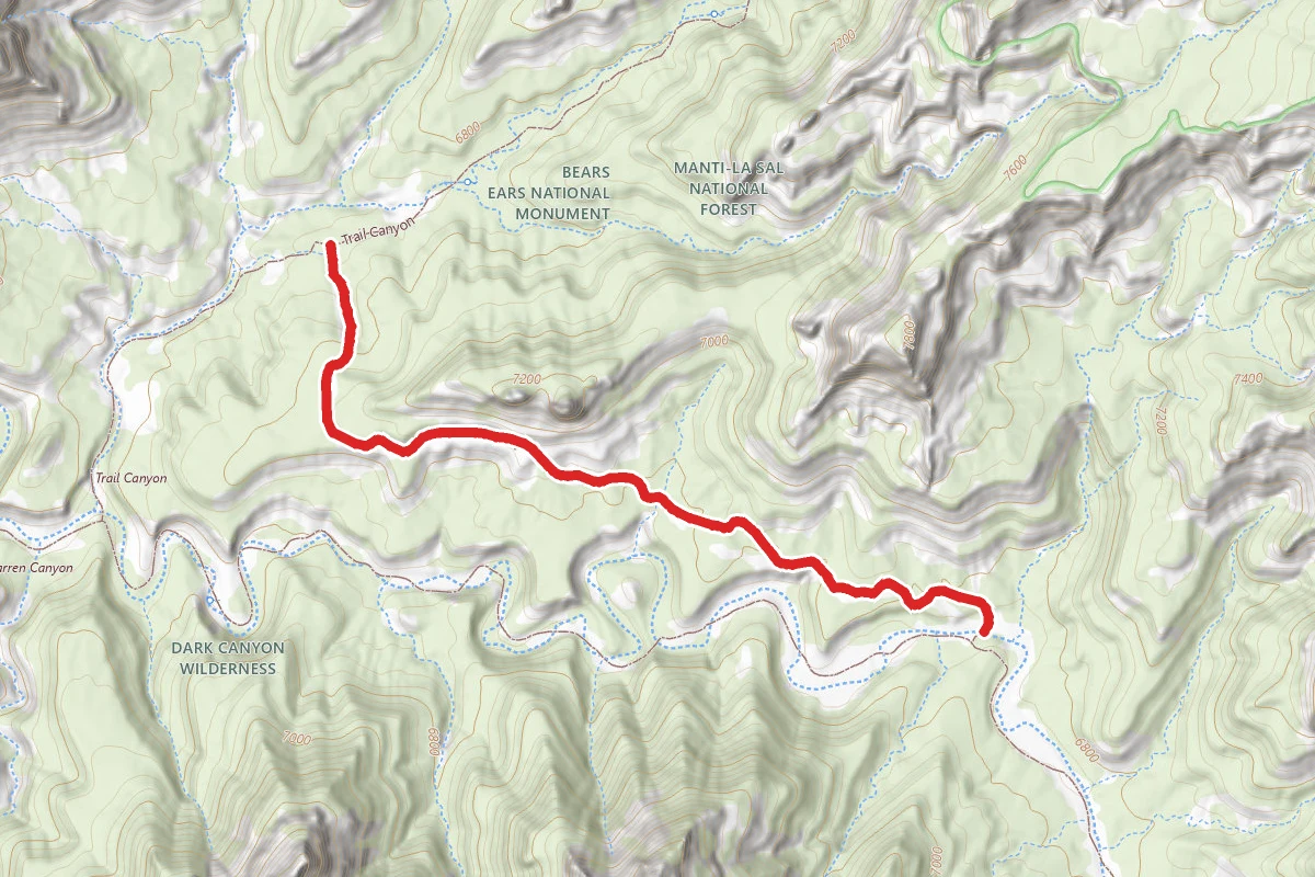 Dark Canyon Nf (5206)