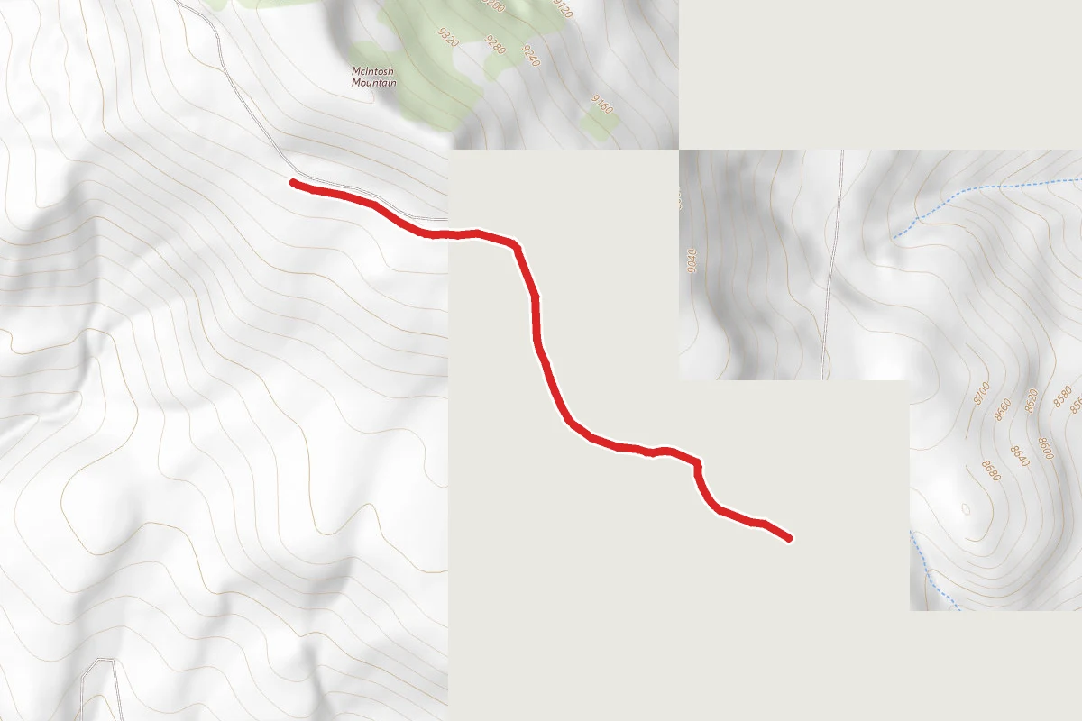 Mcintosh Loop
