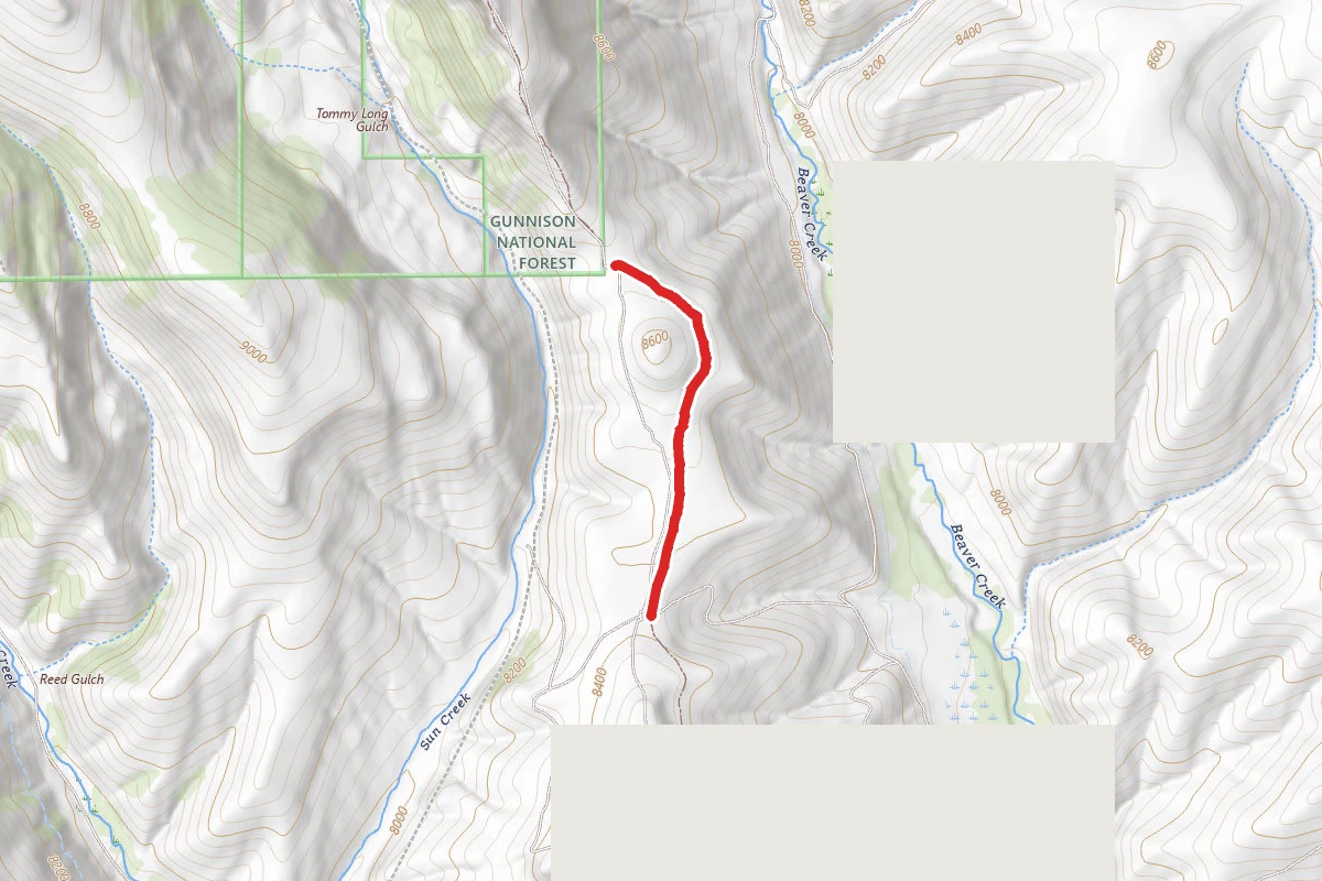 Moto Beaver Trail