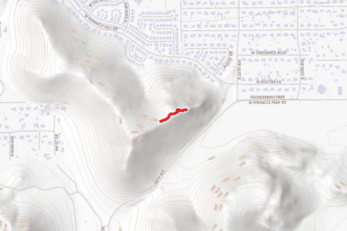 Cholla Loop