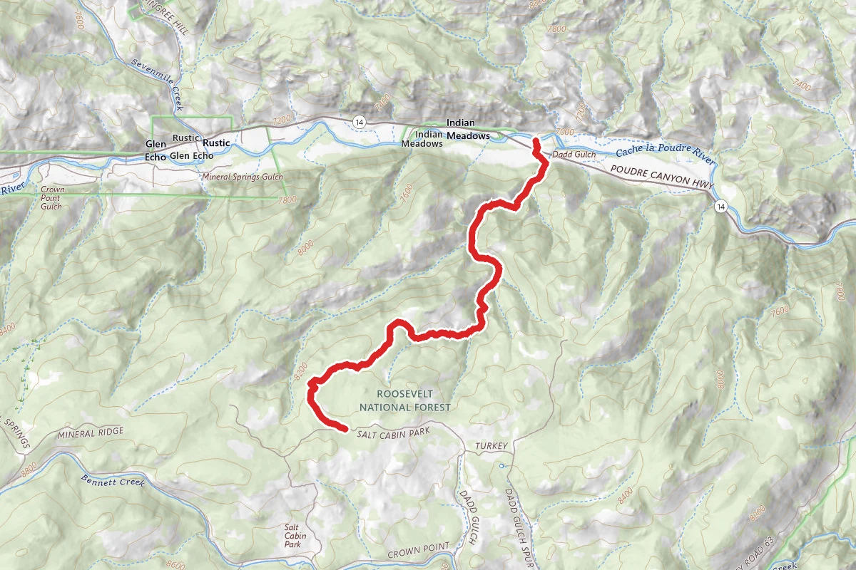 Lower Dadd Gulch Trail