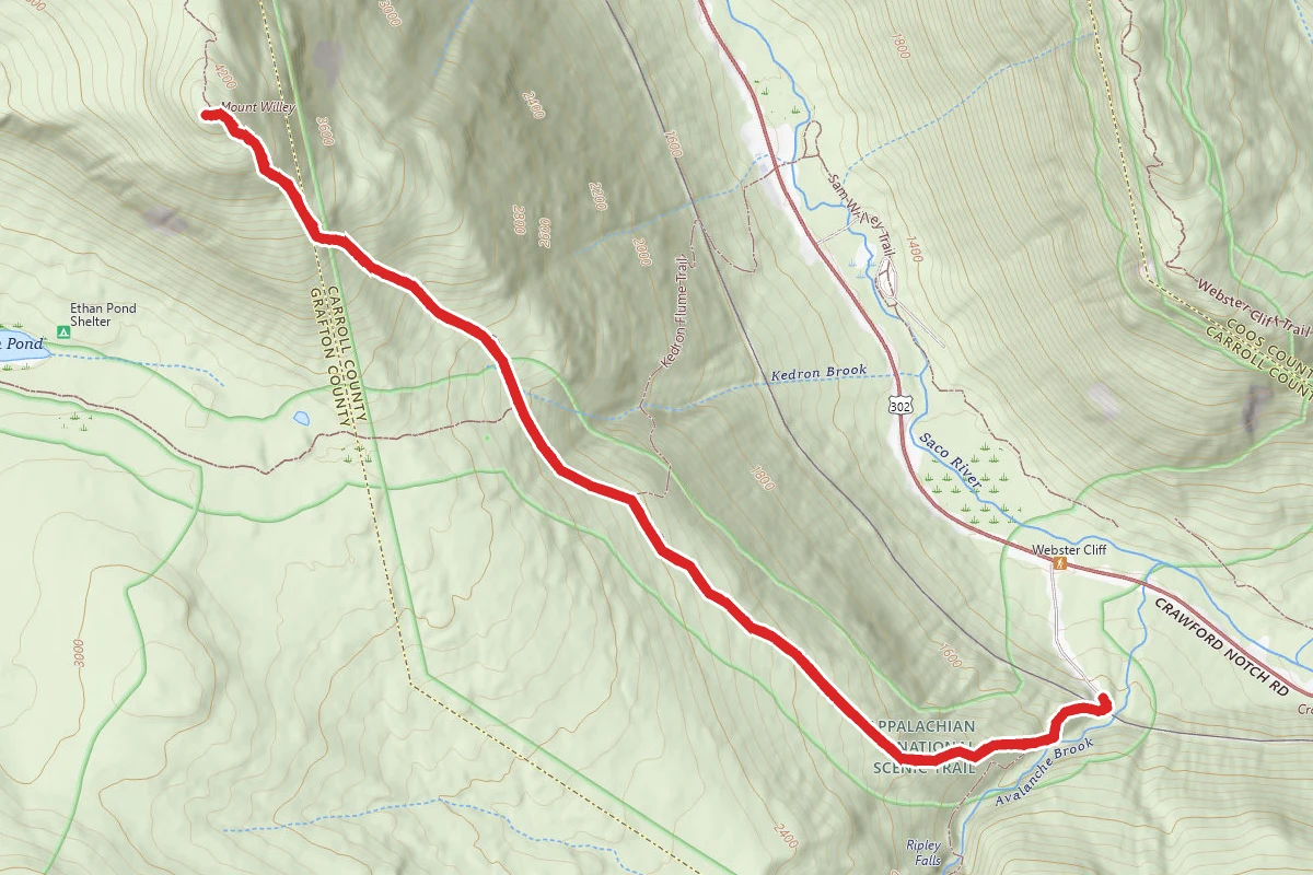 Mount Willey Trail