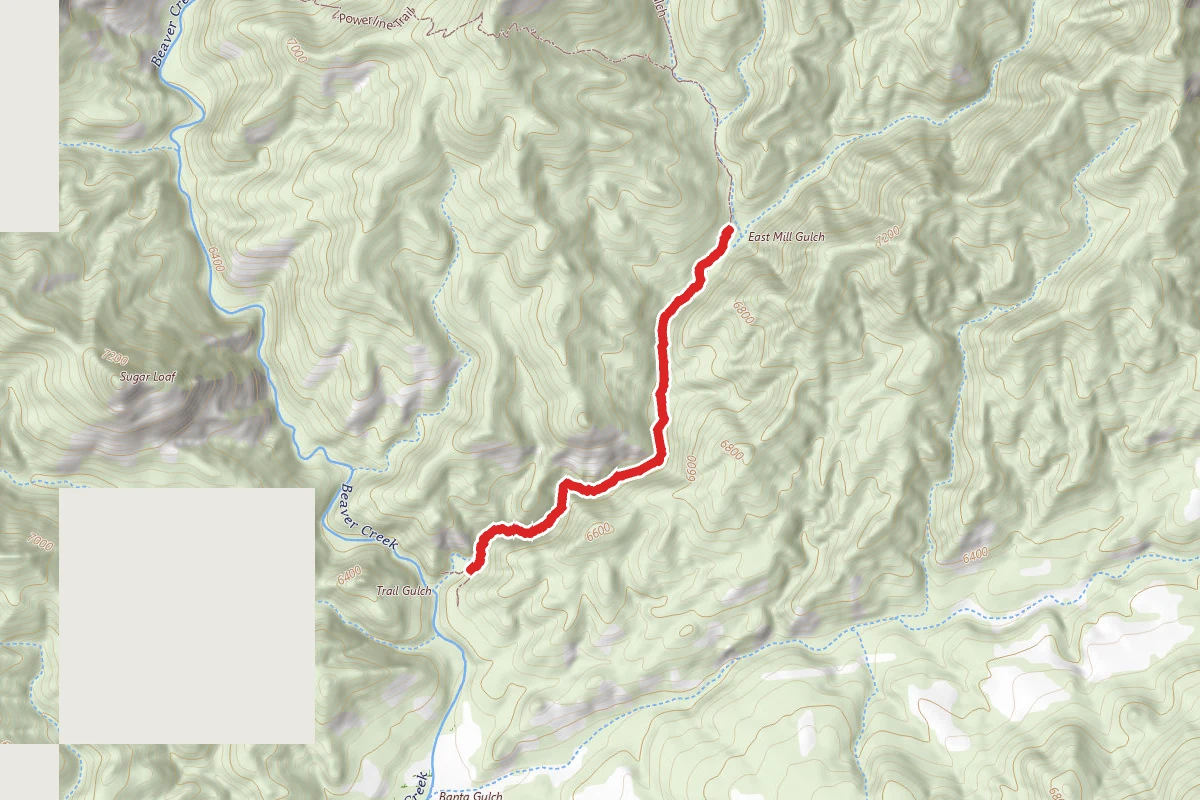 Trail Gulch