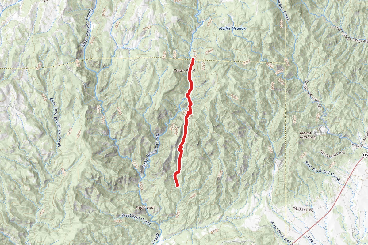 Trail Gulch