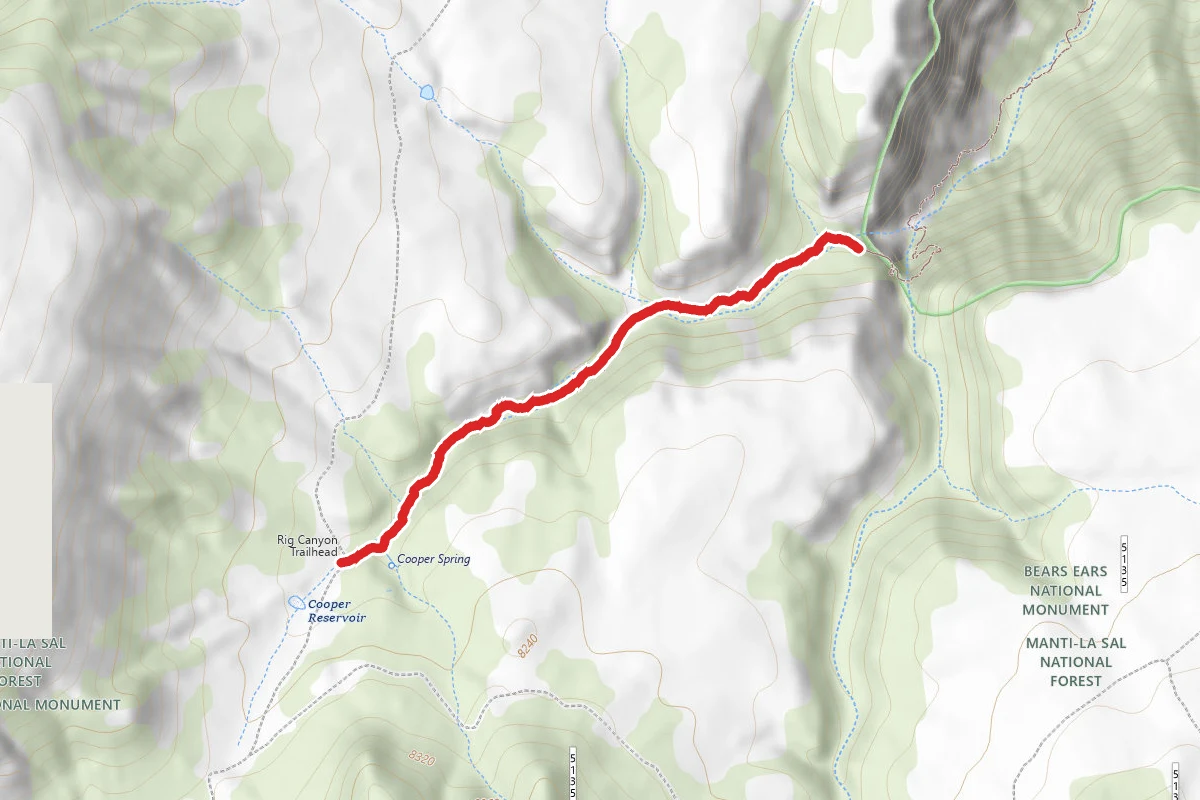 Rig Canyon (5161)