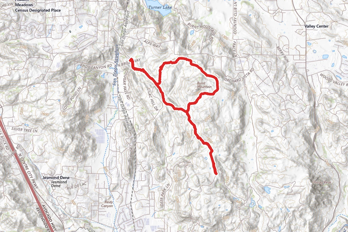 Cougar Ridge to Engelmann Oak Trail