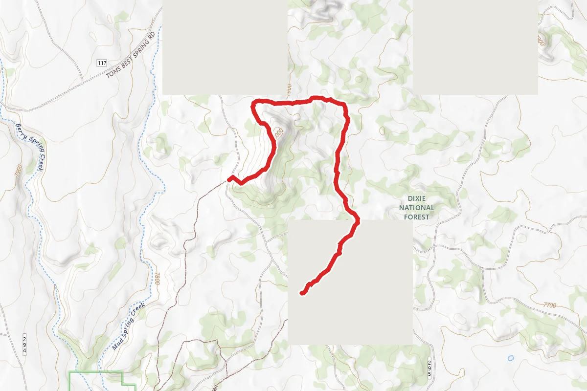 Pines Horse Trail