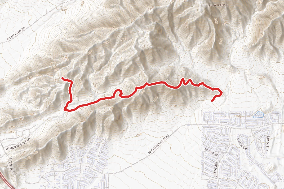 Bursera Trail