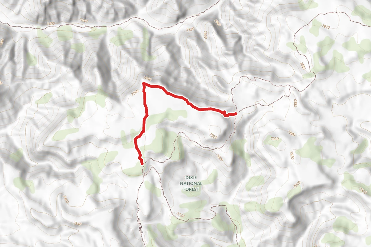 Rich Trail