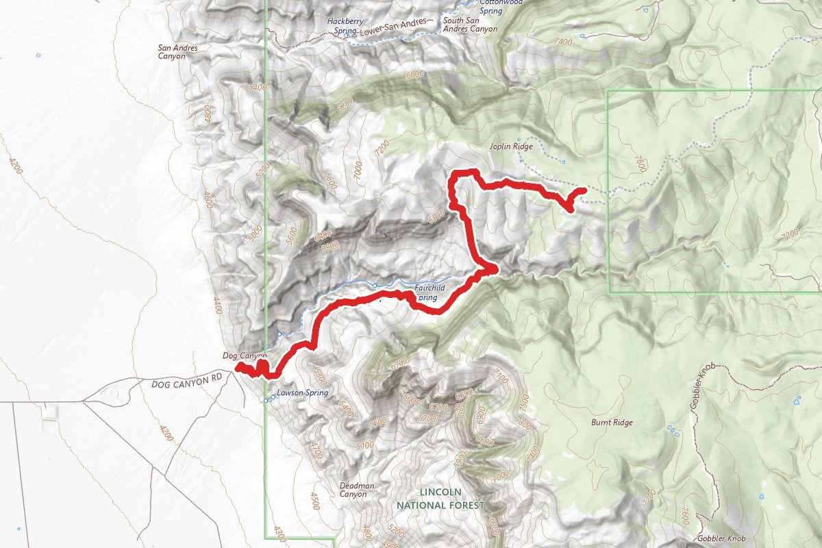 Dog Canyon Trail 106