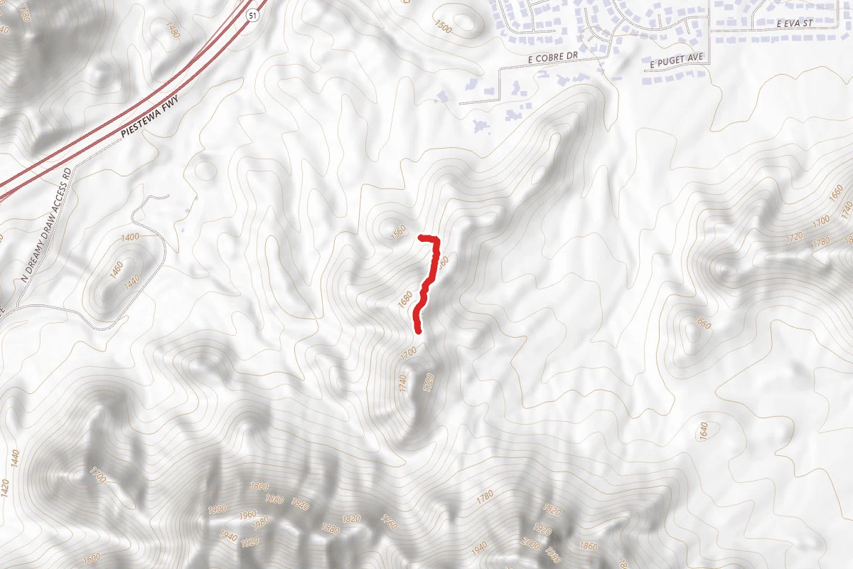 Undesignated Trail