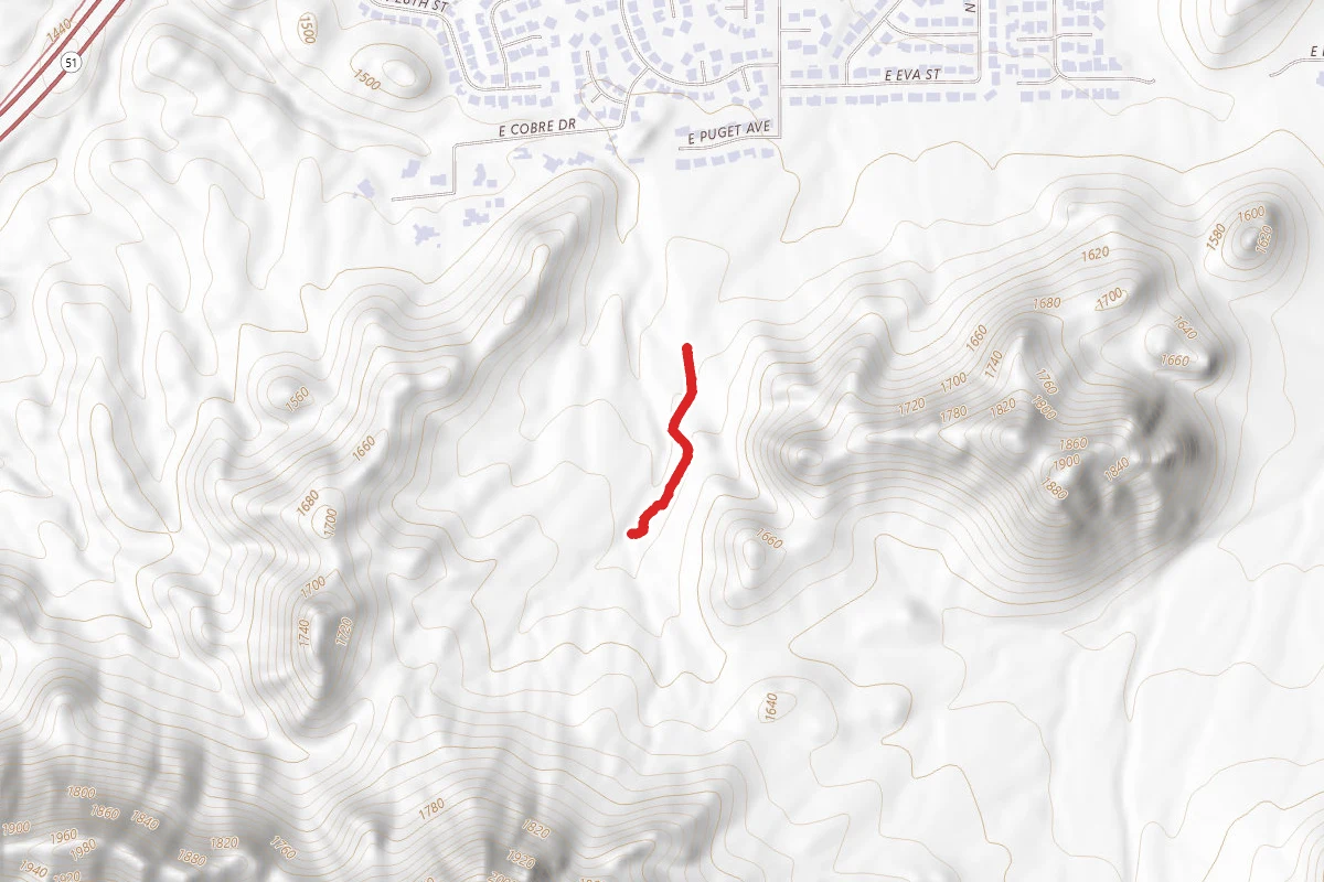Undesignated Trail