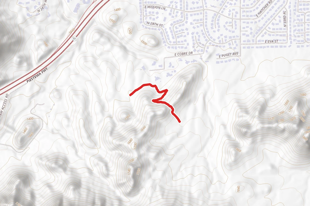 Undesignated Trail