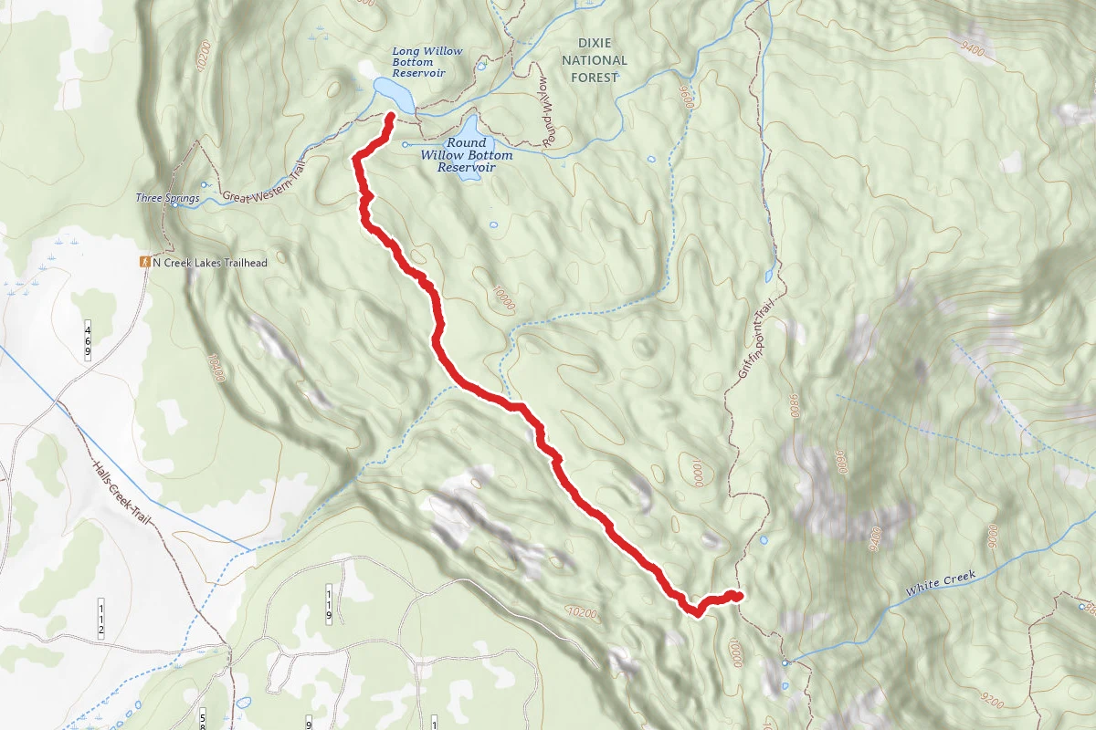 Griffin Spur