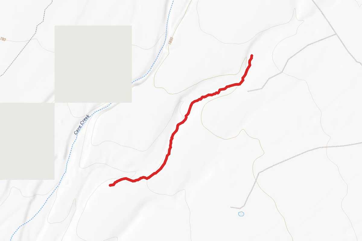 Badger Brawl Trail
