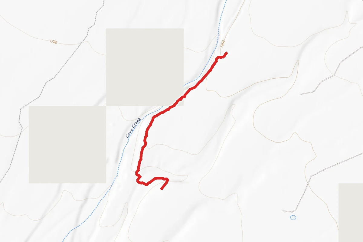 Cliff Walk Trail