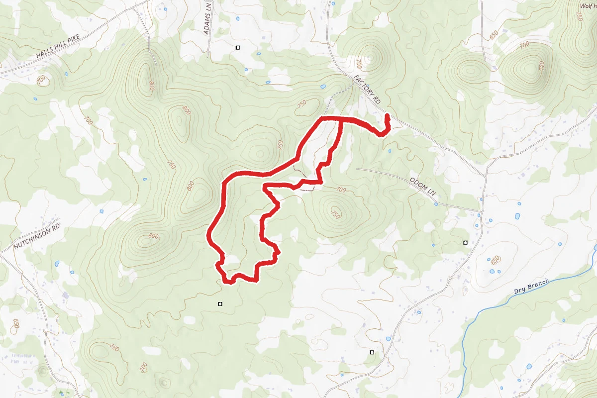 Flat Rock Cedar Glades and Barrens Hike Trail