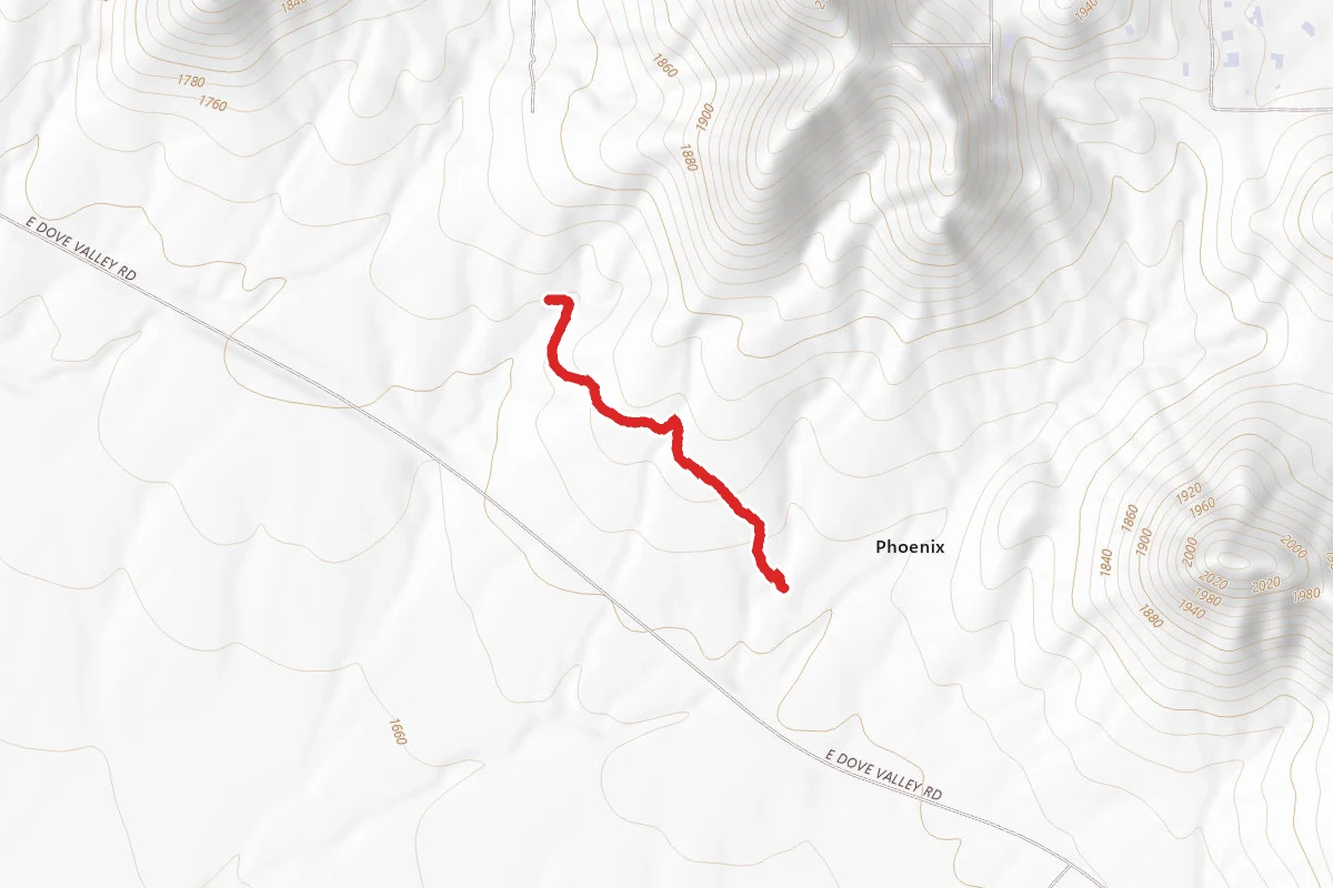 Ocotillo Trail
