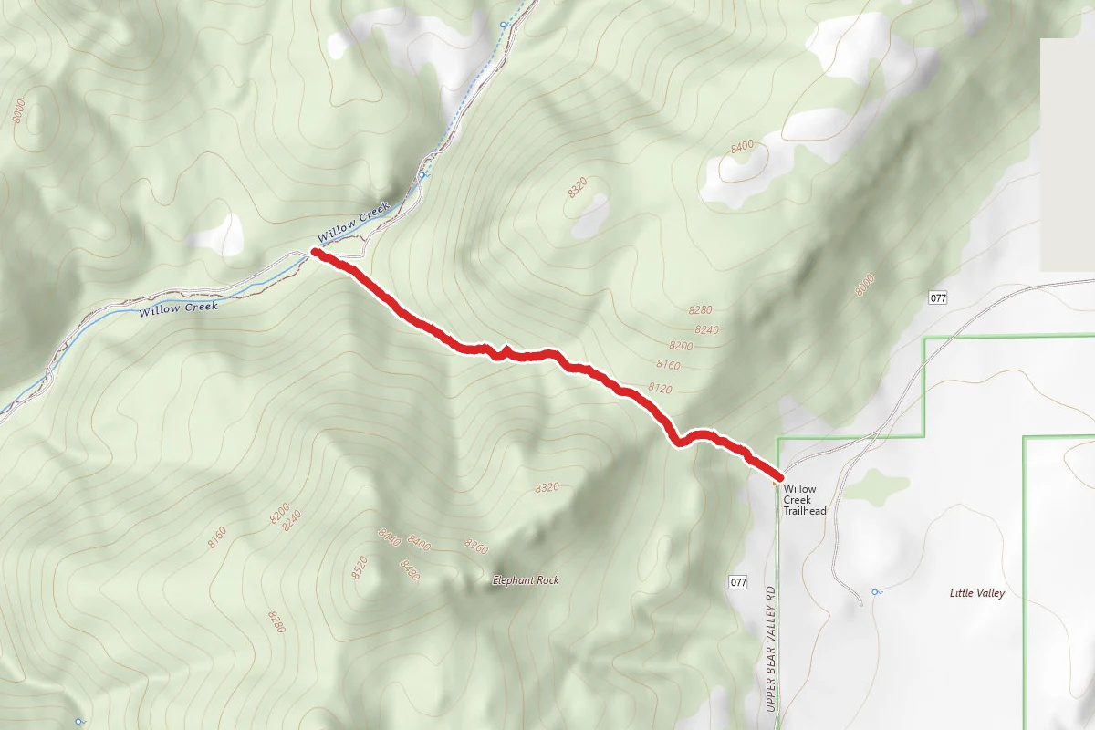 Bear Valley/Willow Trail