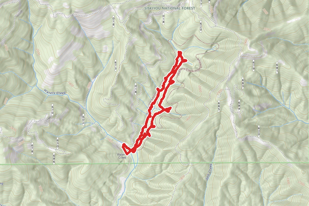 Waters Creek Intrepretive Trail