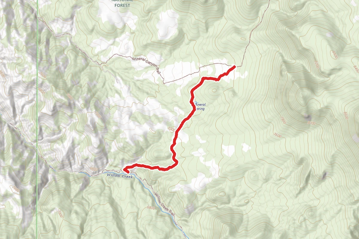 Mineral/Willow Trail