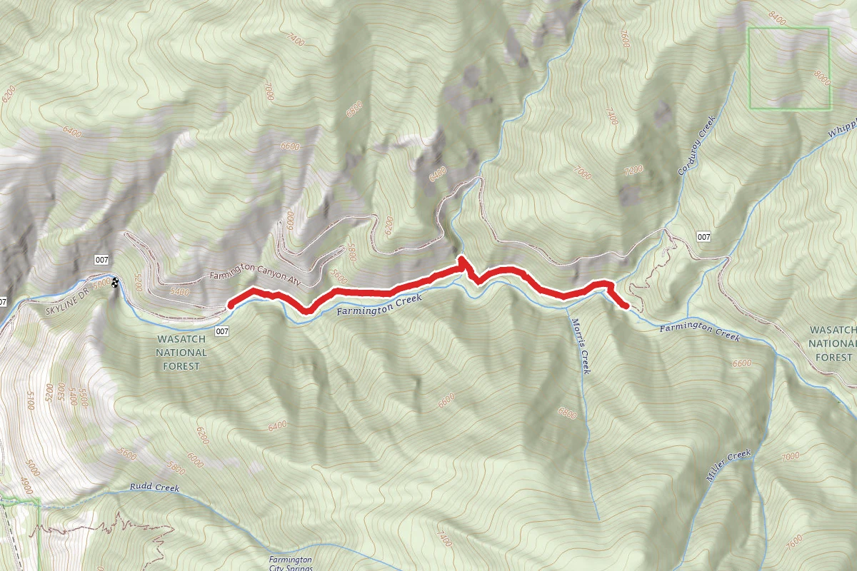 Farmington Creek Trail
