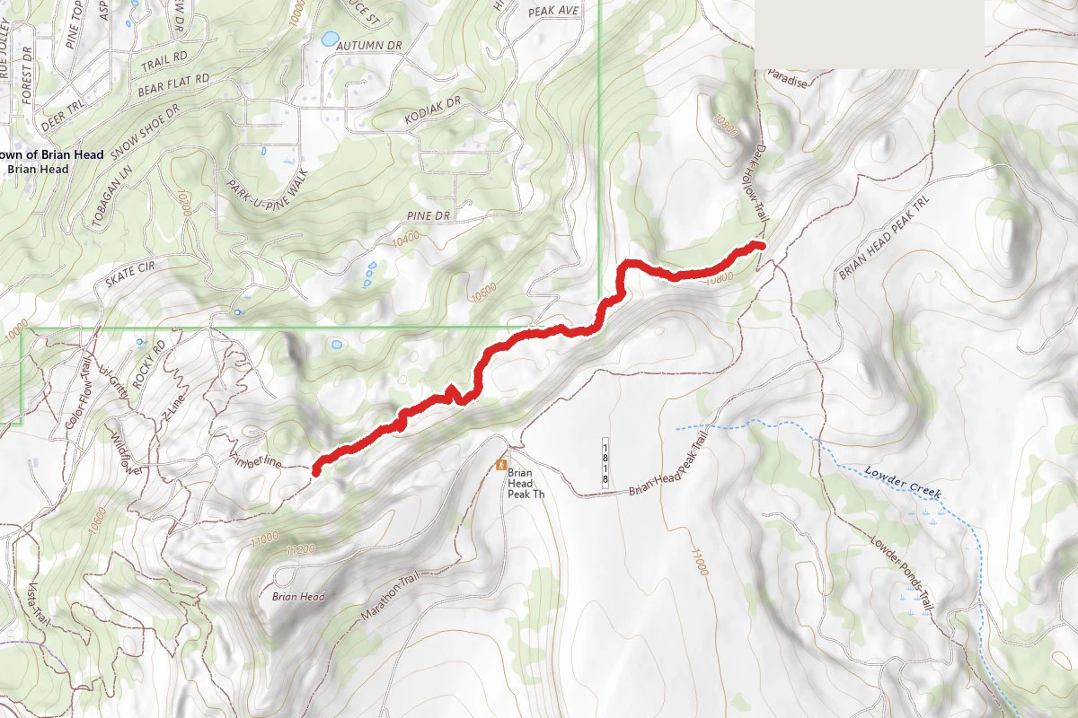 Mace's Run Trail