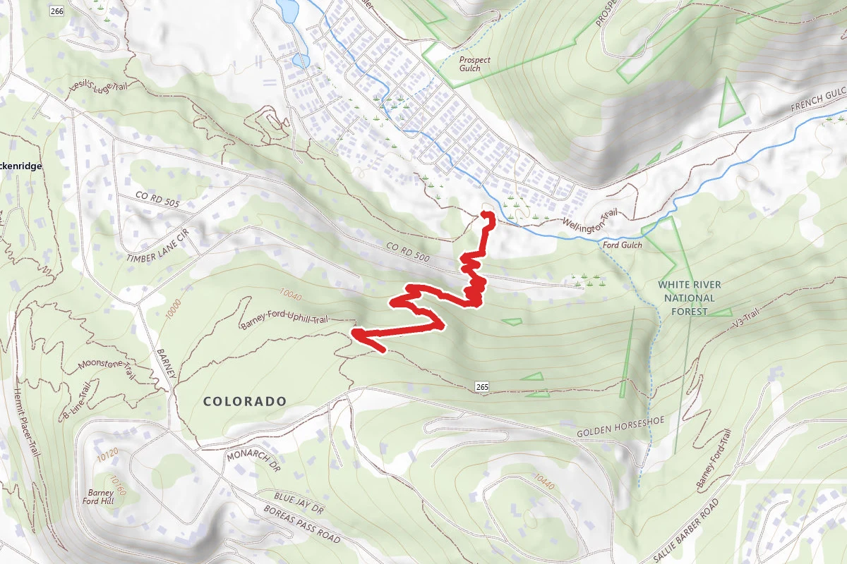 Red Pig Trail