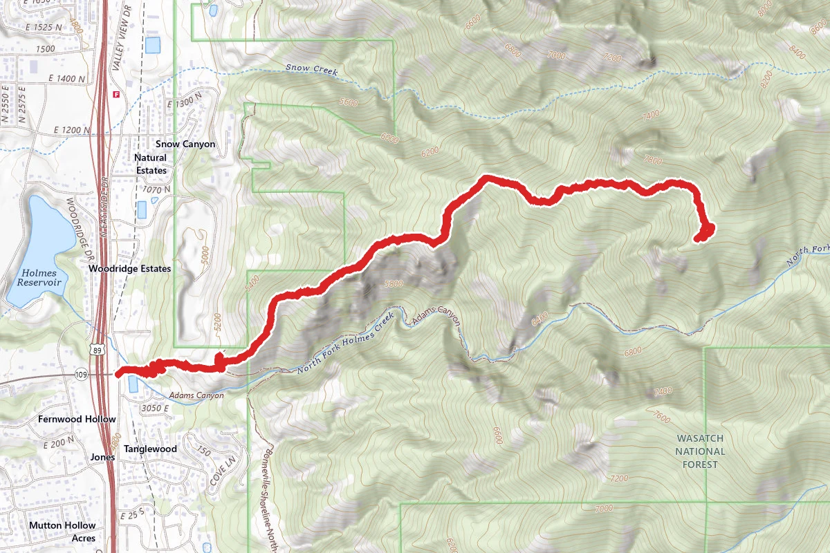 Adam's Cabin Trail