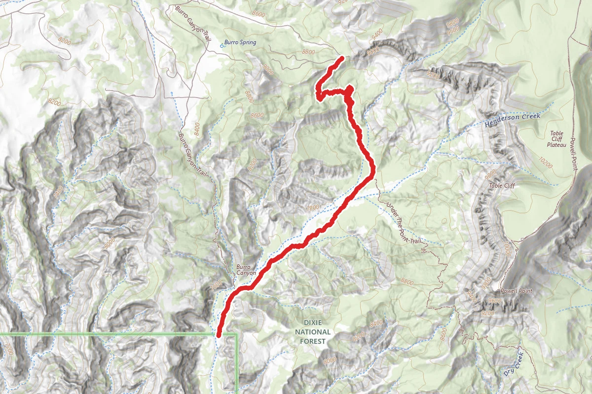 Henderson Canyon