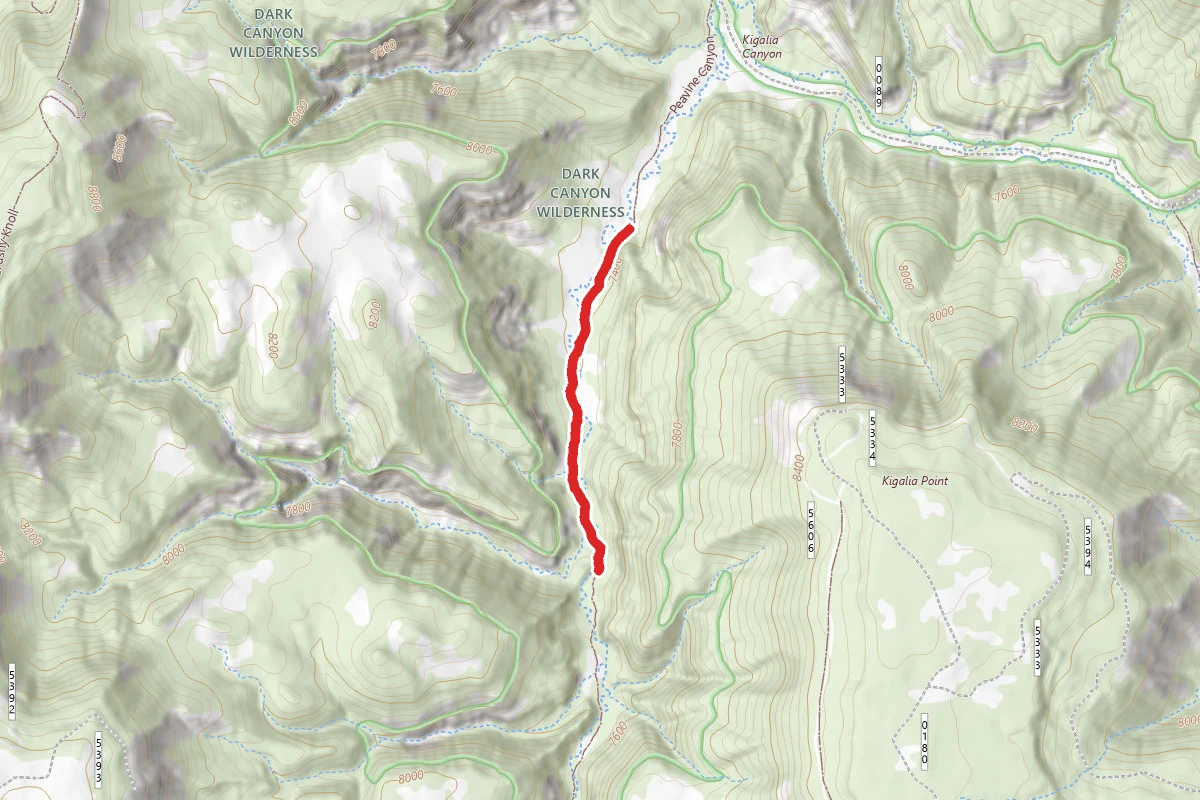 Peavine Canyon (5157)