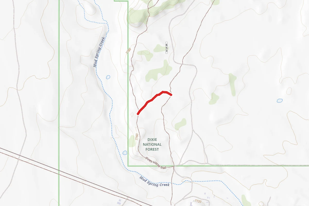 Pines Horse Trail