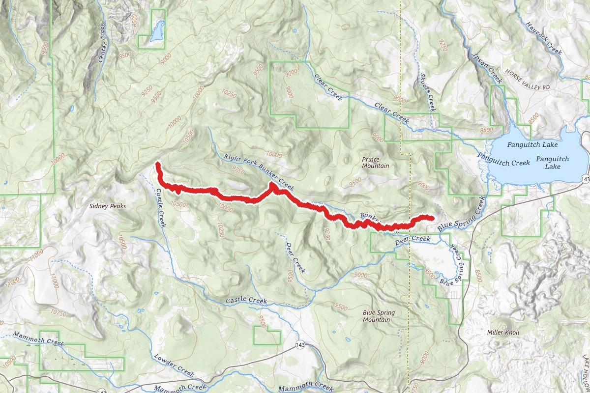 Left Fork Bunker Creek