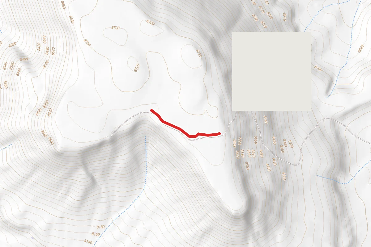 Faint, Missing, Two-Track Road