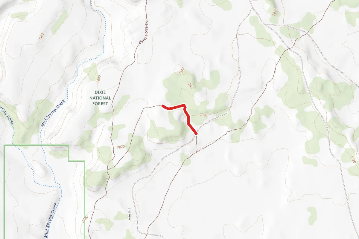 Pines Horse Trail