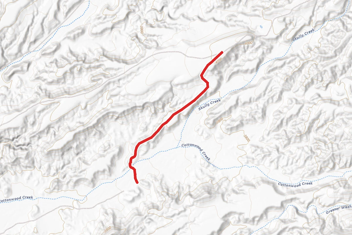 Skinner Trail