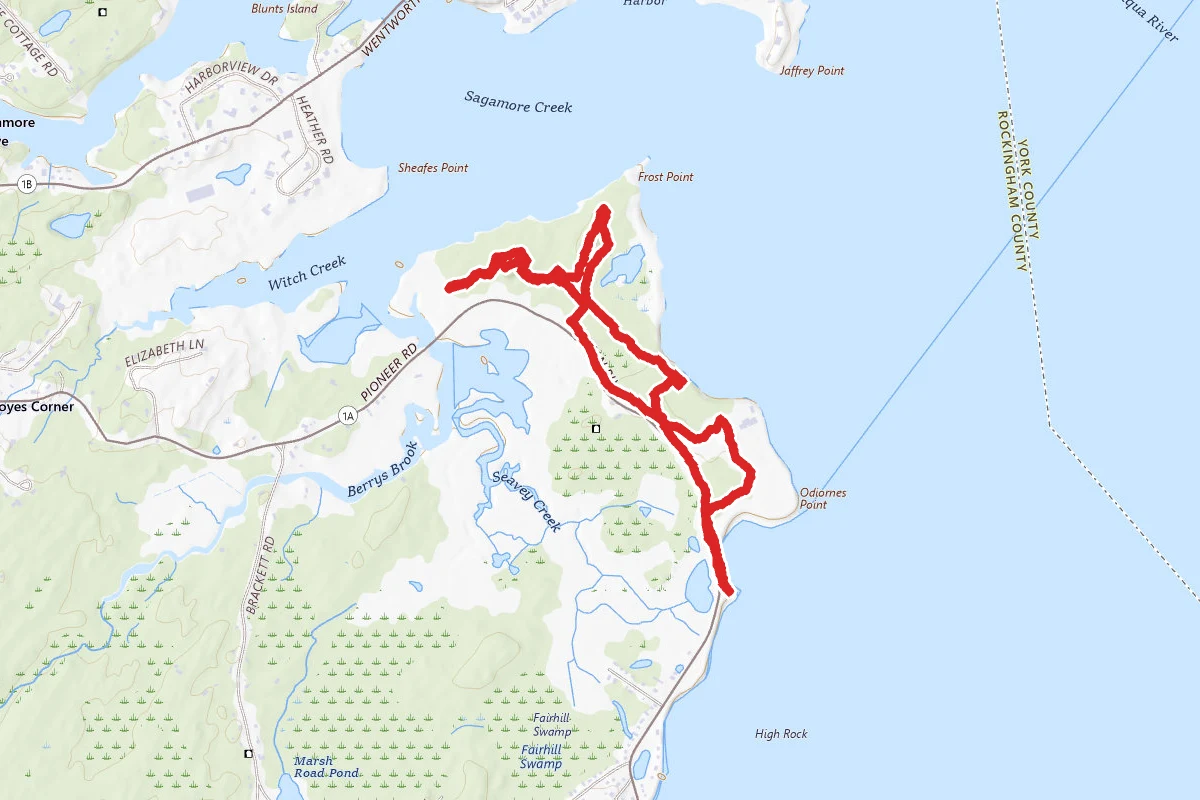 Odiorne Point Loop Trail