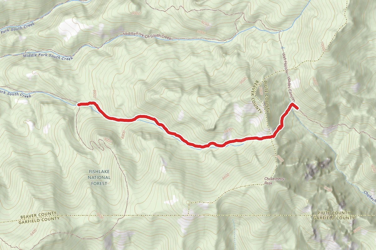 South Fork of South Creek