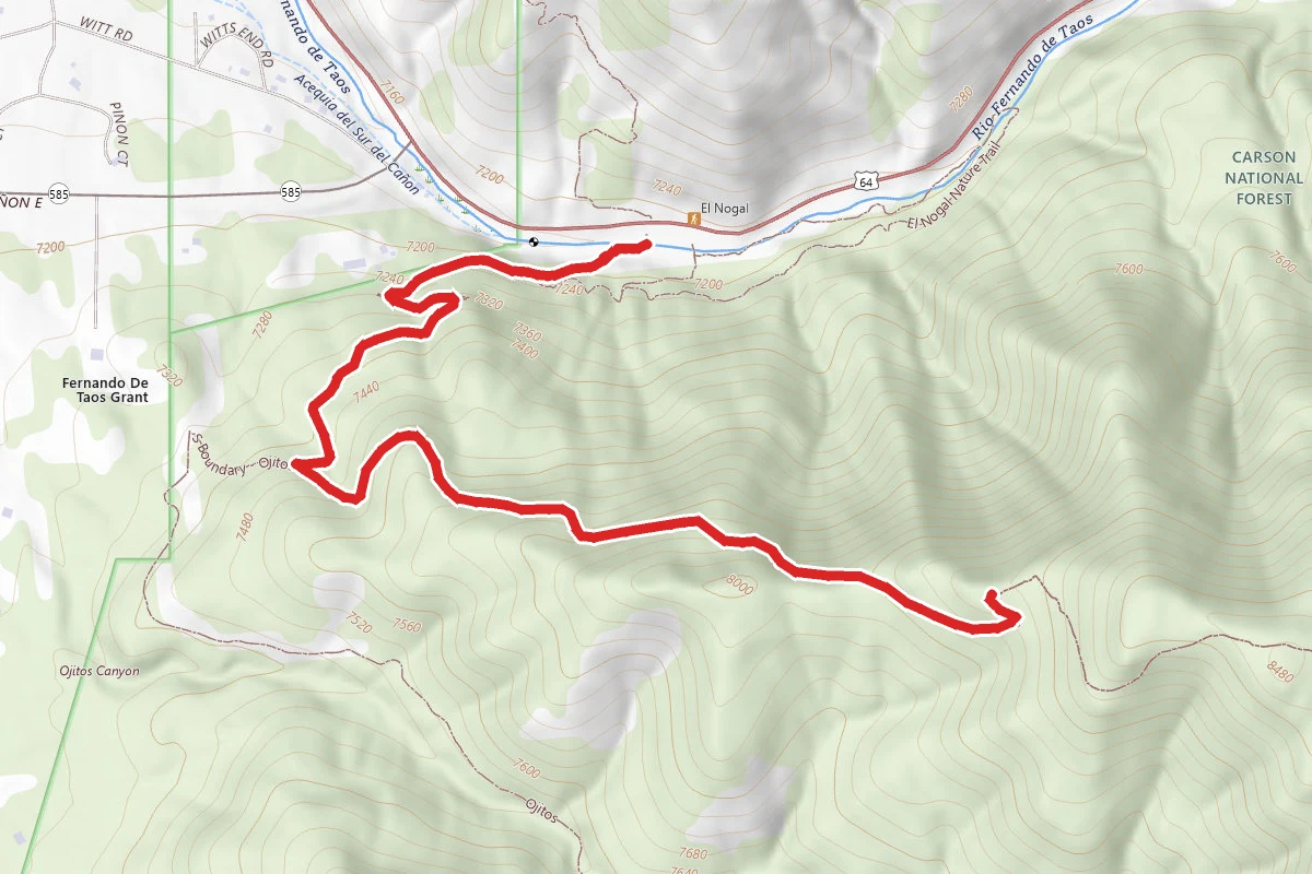 South Boundary 164 Trail to First Peak