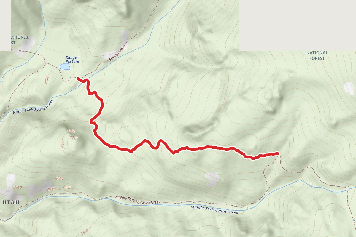 Wet Hollow - Wades Canyon