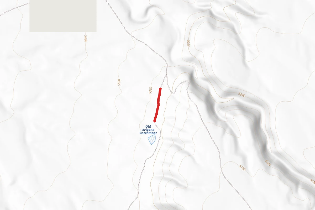 Buck Pasture