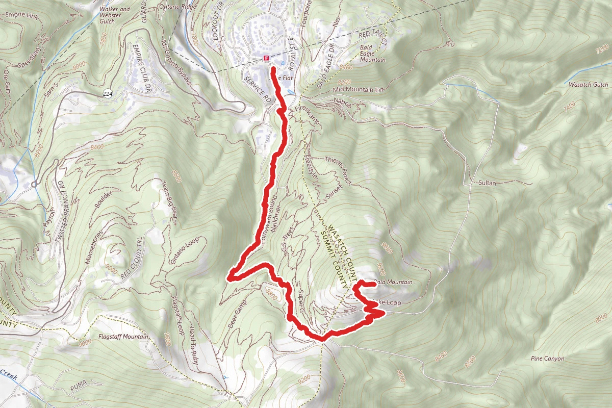 Bald Mountain via Ontario Trail