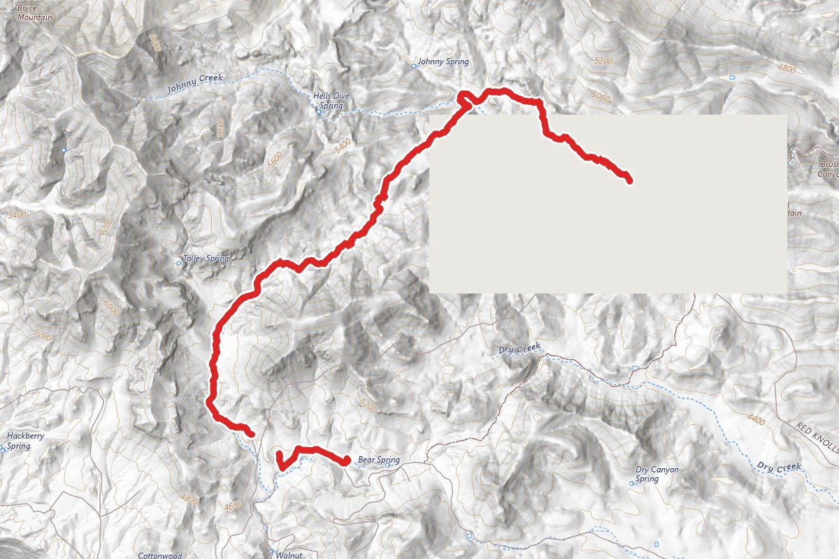 Salt Trap Road