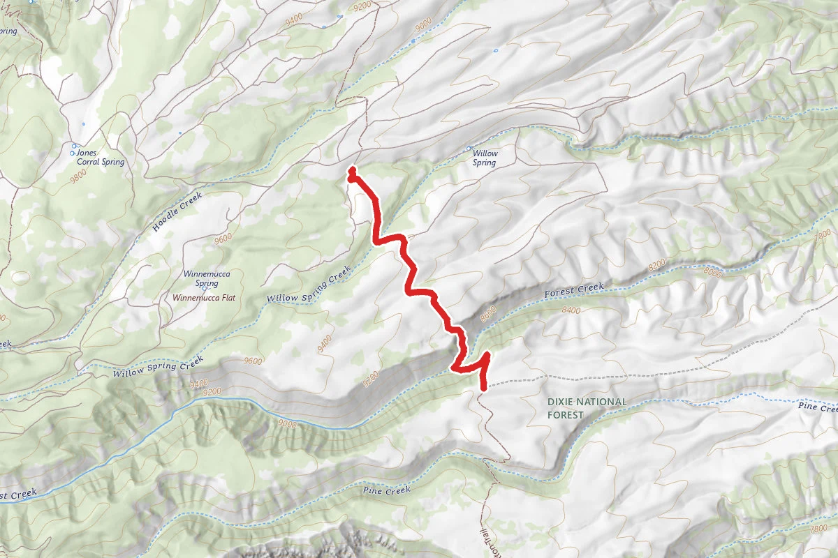 Mount Dutton