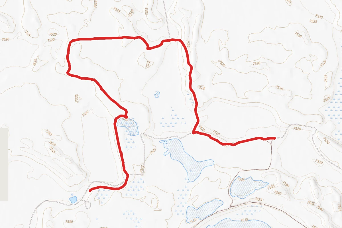 North Honker Trails
