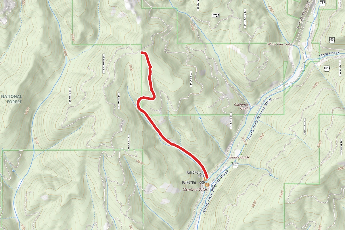 Cleveland Gulch