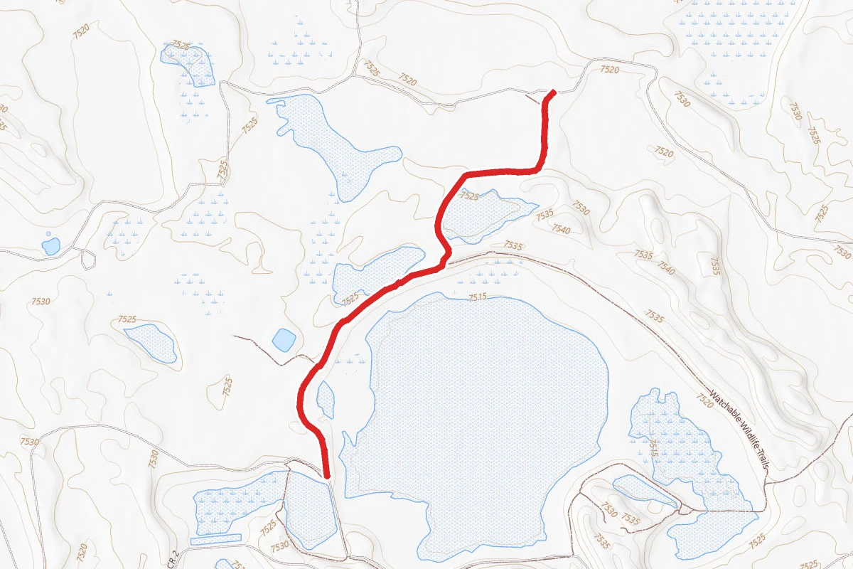 Watchable Wildlife Trails