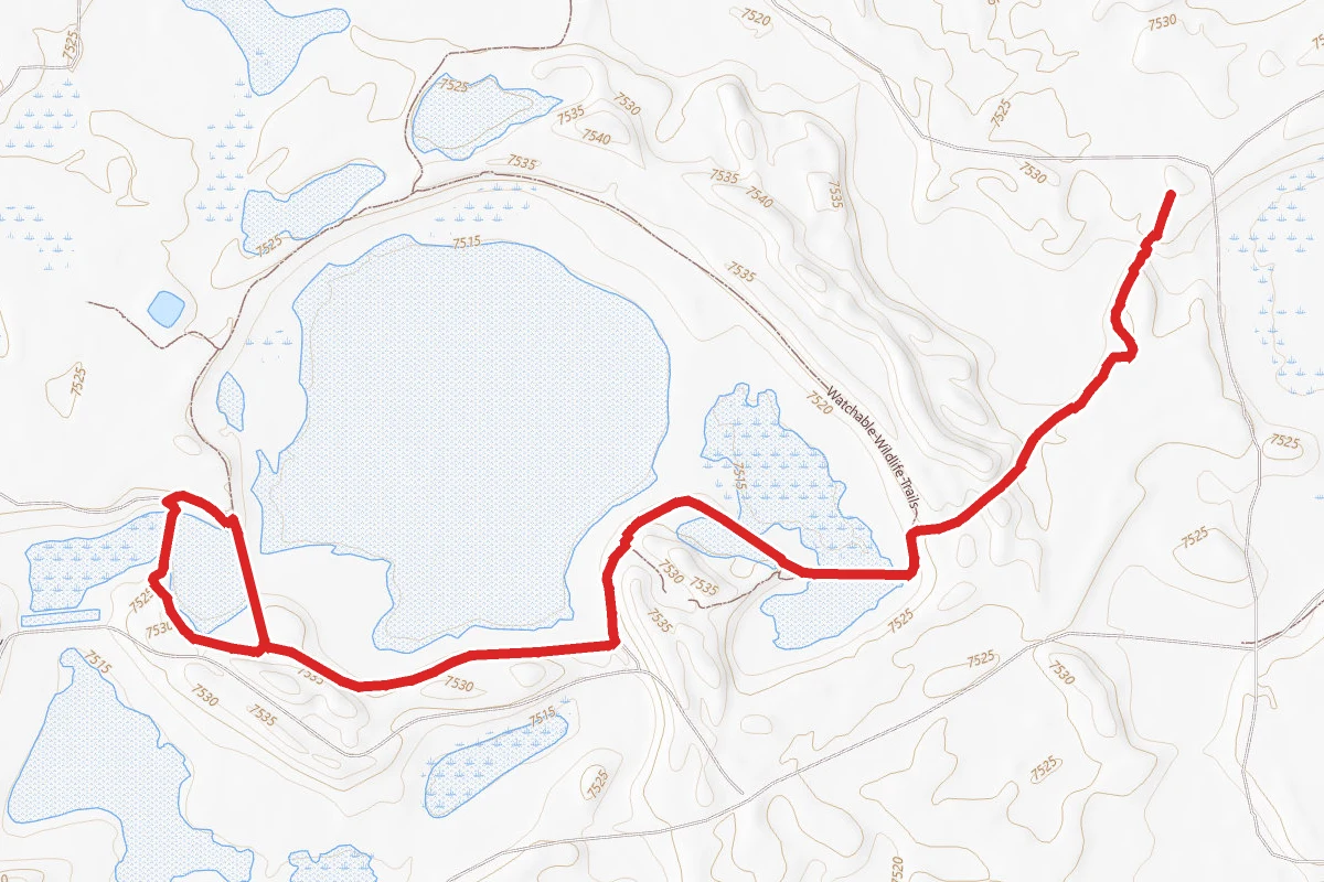 Watchable Wildlife Trails